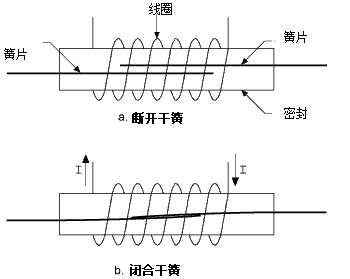 干簧繼電器：電流流經(jīng)線圈而產(chǎn)生磁場，進(jìn)而將兩個(gè)磁簧的觸點(diǎn)拉在一起